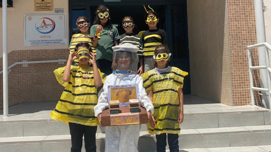 Etwinning- Journey to the Bee World - 20 Mayıs Dünya Arı Günü